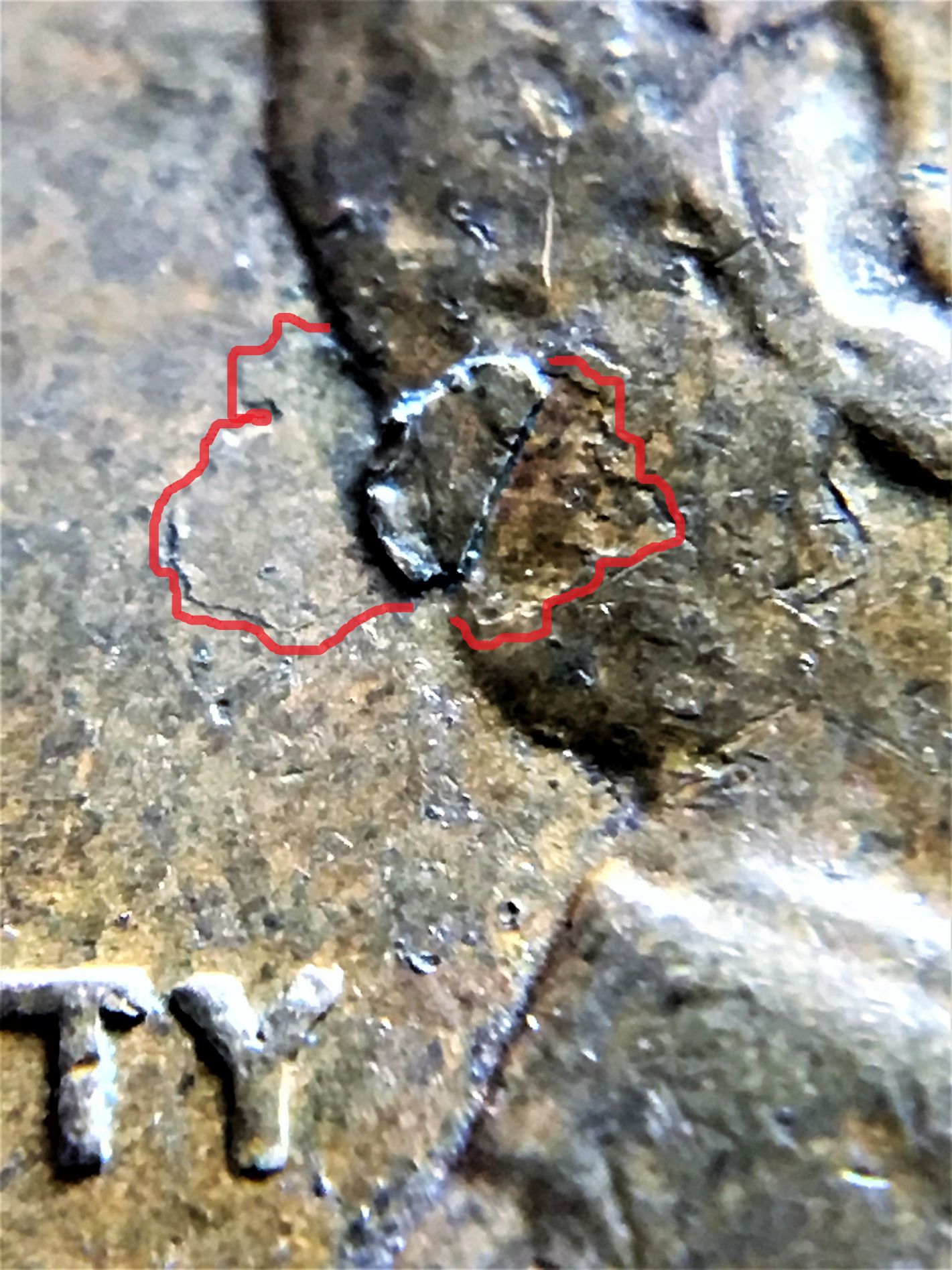 1956-D-LWC-Retained-Lamination?